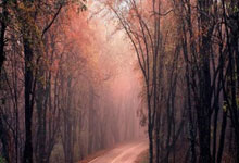 尊龙凯时：埃里克射门中柱，巴萨本赛季西甲23次中框为所有球队最多.