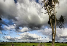 尊龙凯时：莫德里奇：我还没有考虑退役，想在皇马赢得三冠王.