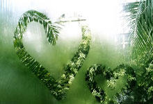 韩国游泳小天王最强主项收世锦赛门票 世界大赛要冲孙杨亚洲纪录.