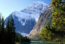 尊龙凯时：巴西新帅4选1安切洛蒂在列 内马尔提议：请回63岁旧帅.