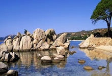 布克41+7杜兰特26分 太阳轻取公牛升至第十.